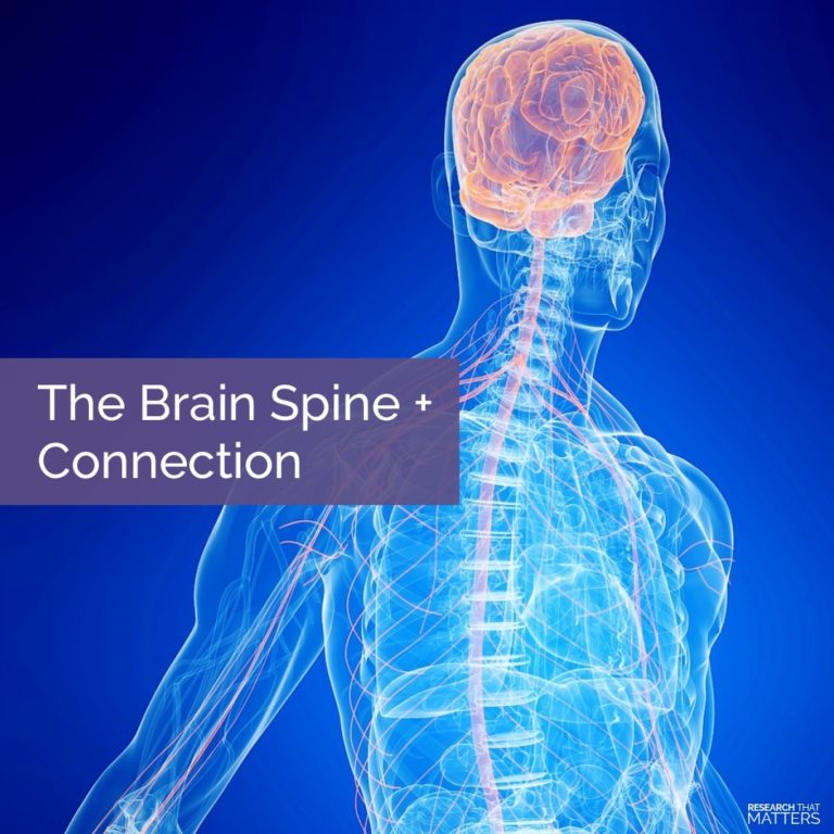 Week The Brain Spine Connection